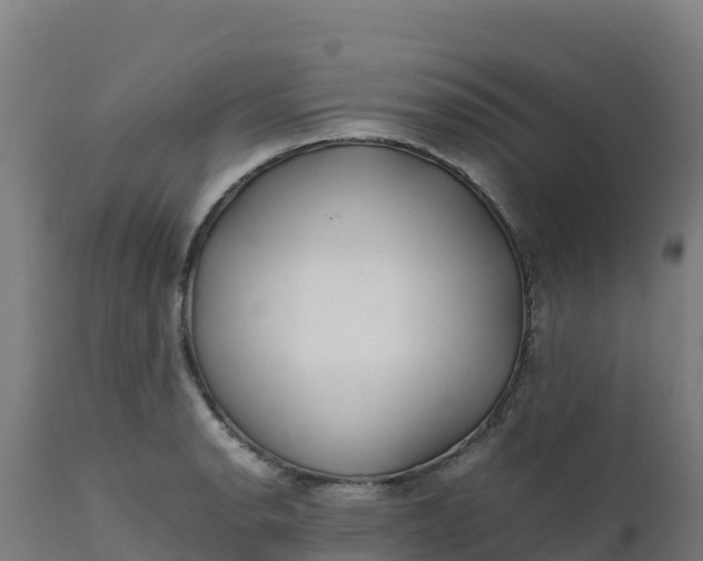 X0000112411134200908281808