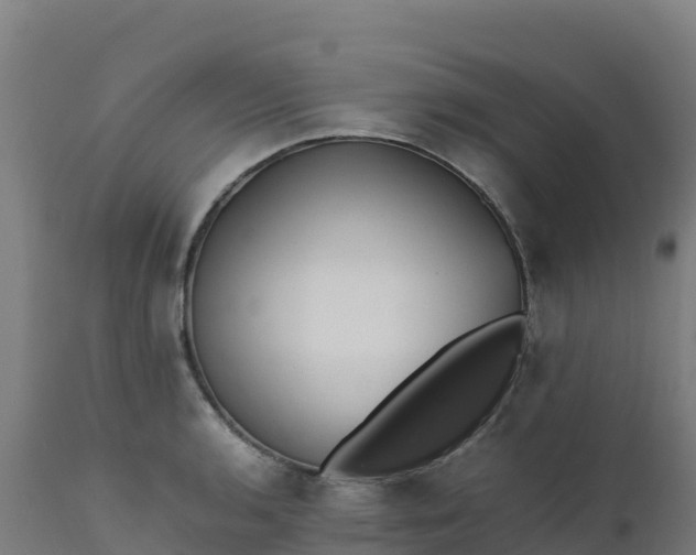 X0000112411136200908281808