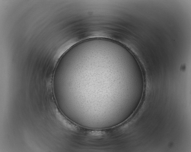 X0000112411137200908281808