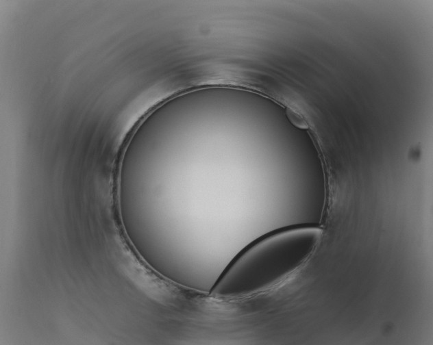 X0000112411138200908281808
