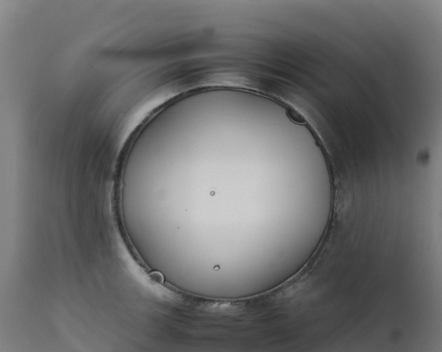 X0000112411139200908281808