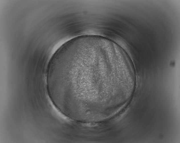 X0000112411141200908281808