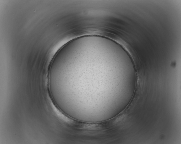 X0000112411143200908281808