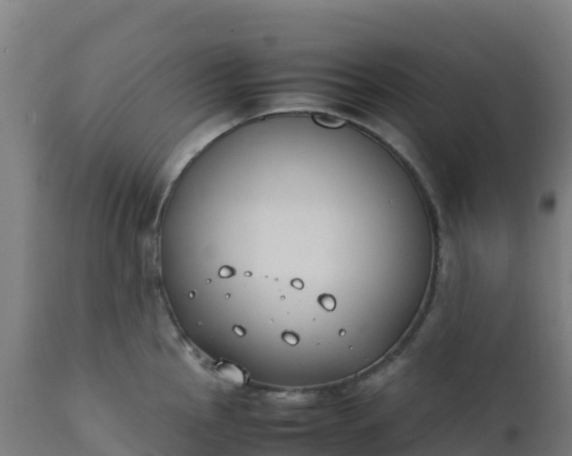 X0000112411145200908281808