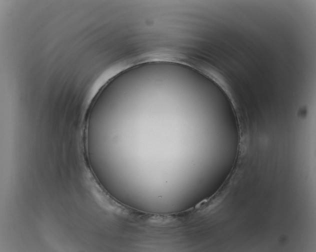 X0000112411146200908281808