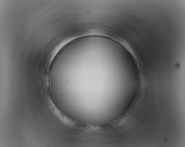 X0000112411148200908281808