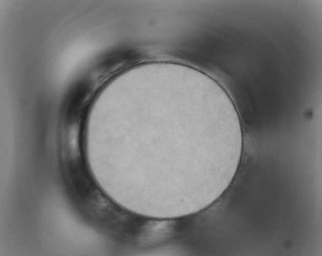 X0000112411150200908281808