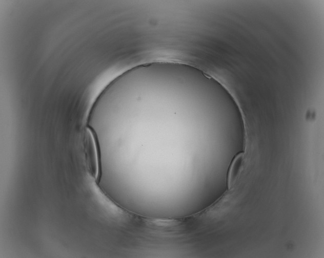 X0000112411152200908281808