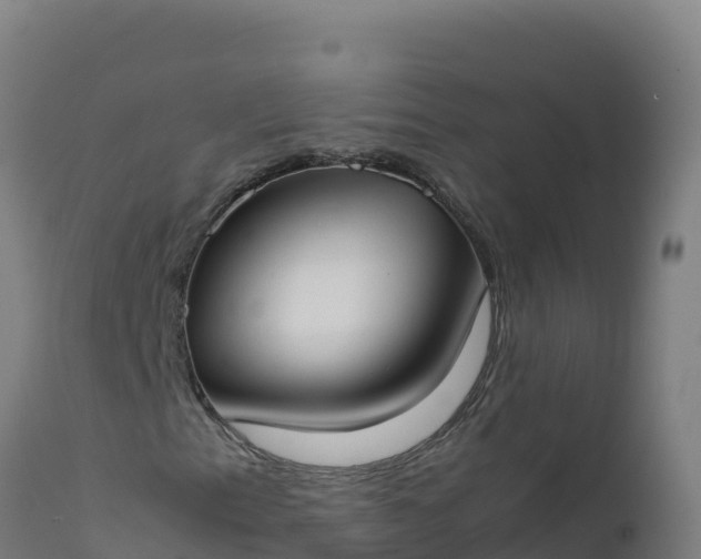 X0000112411153200908281807