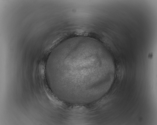 X0000112411154200908281807