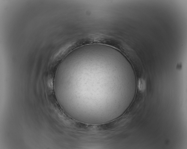 X0000112411155200908281807