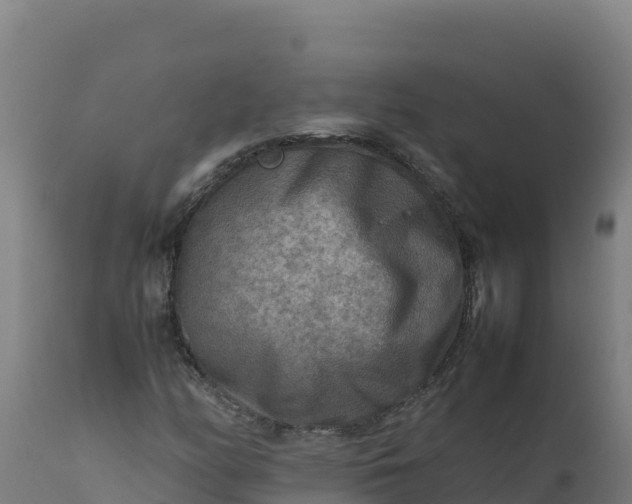 X0000112411158200908281807