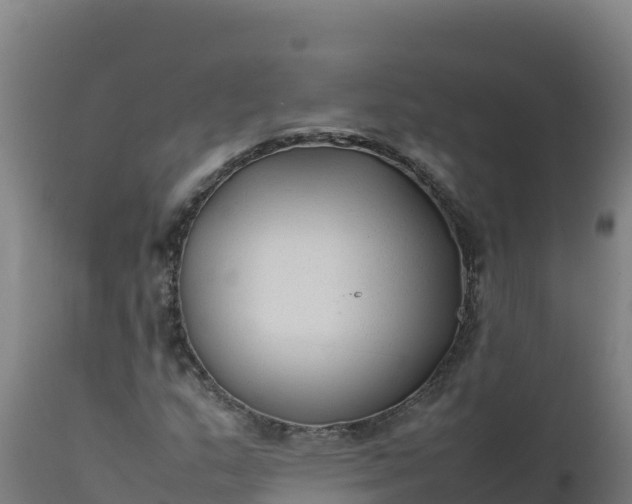 X0000112411159200908281807