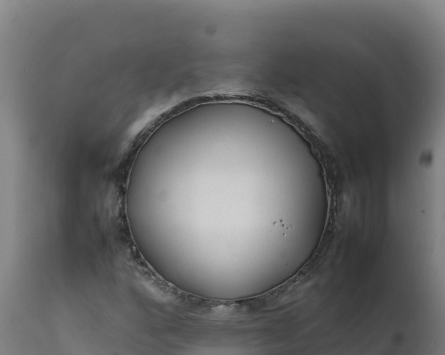 X0000112411160200908281807