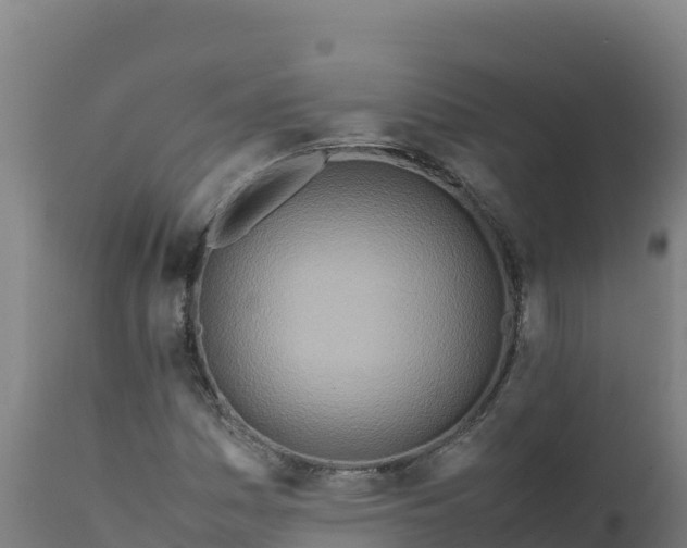 X0000112411161200908281807