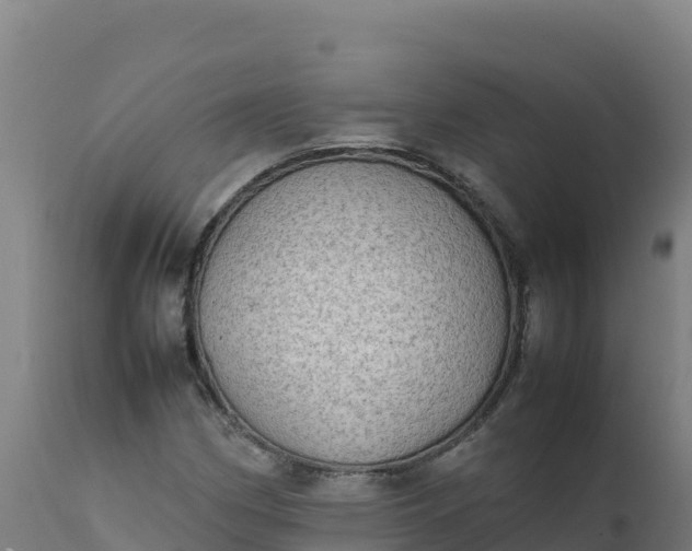 X0000112411162200908281807