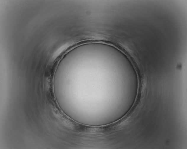 X0000112411163200908281807