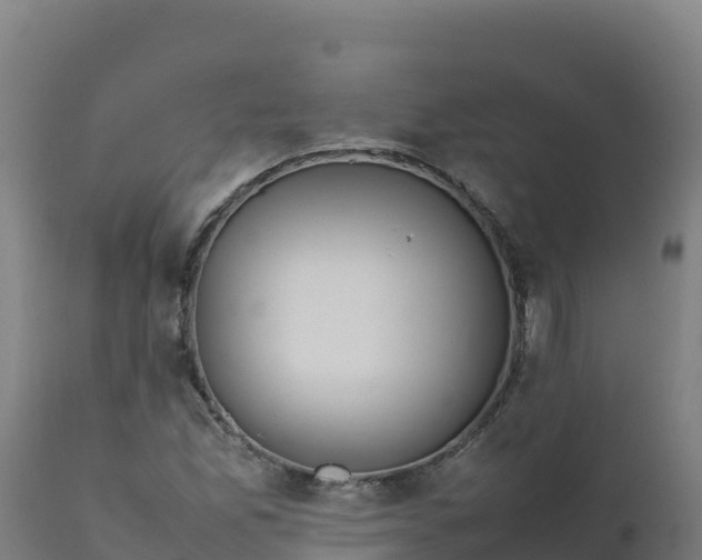 X0000112411165200908281807