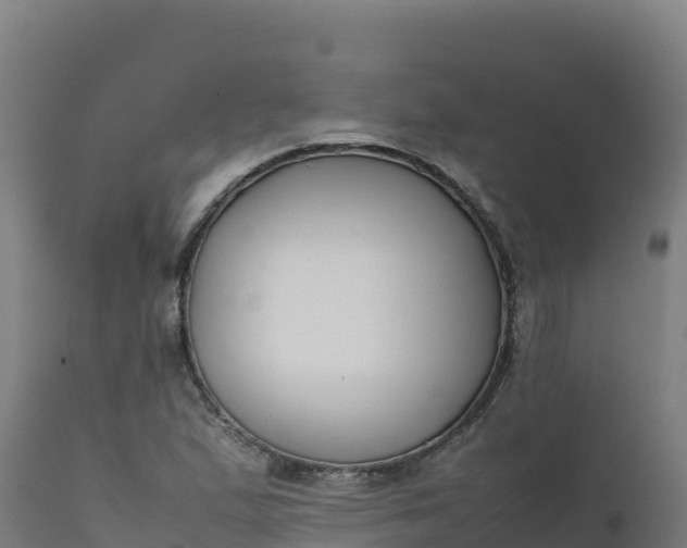 X0000112411167200908281807