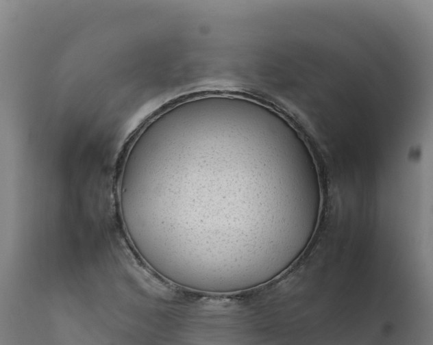 X0000112411168200908281807