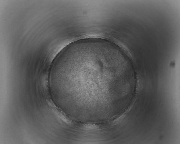 X0000112411170200908281807