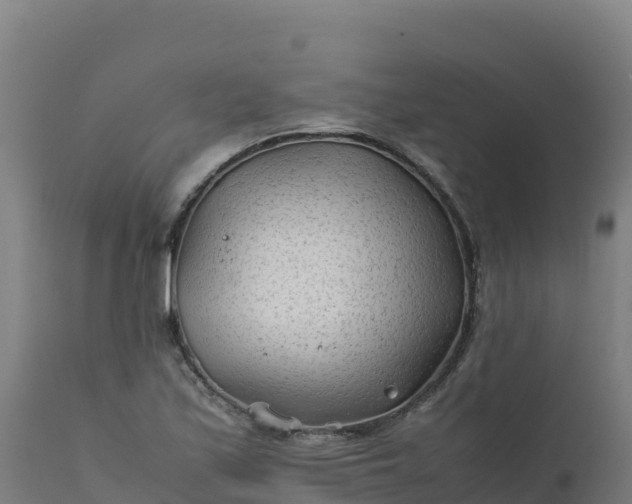 X0000112411171200908281807