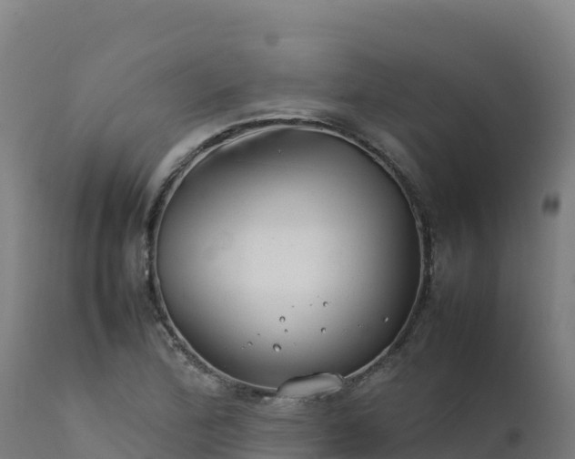 X0000112411172200908281807
