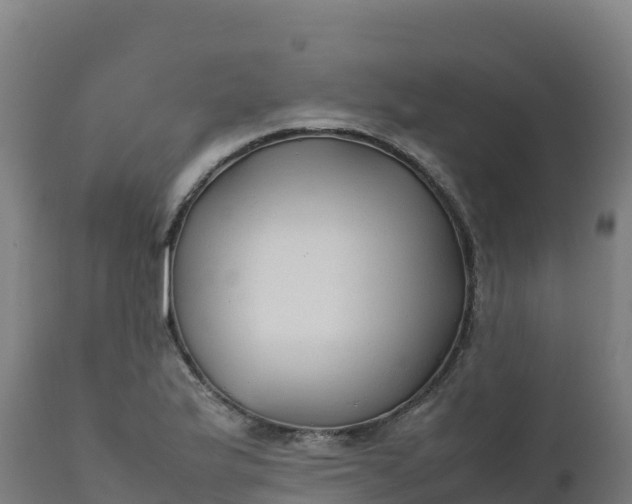 X0000112411175200908281807