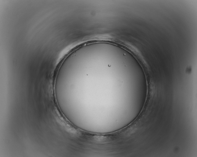 X0000112411176200908281807