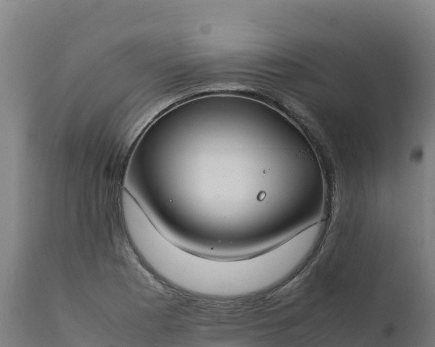 X0000112411177200908281807