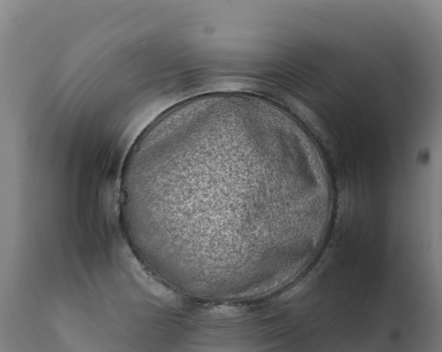 X0000112411178200908281807