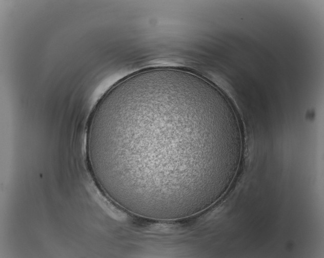 X0000112411179200908281807