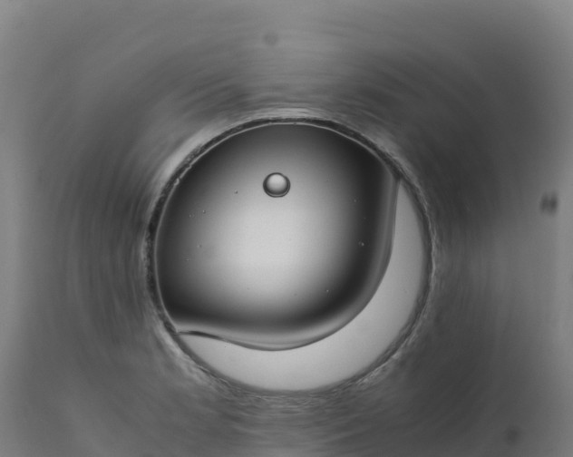 X0000112411181200908281807