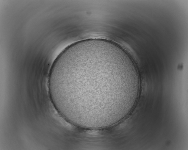 X0000112411182200908281807