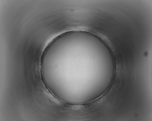 X0000112411184200908281807