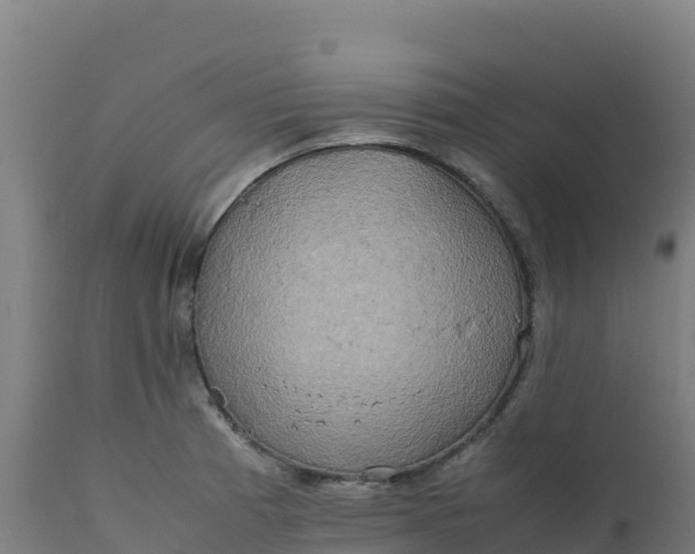X0000112411185200908281807
