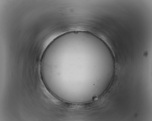 X0000112411187200908281807