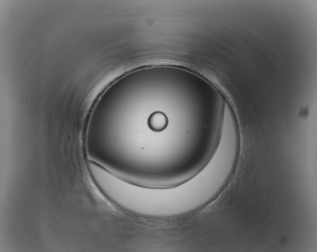 X0000112411189200908281807