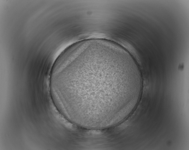 X0000112411190200908281807