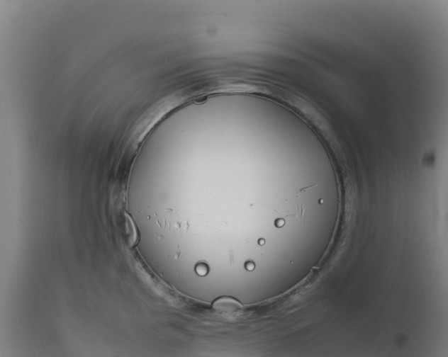 X0000112411193200908281807