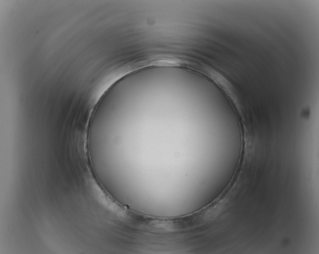 X0000112411194200908281807