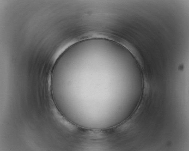 X0000112411198200908281807