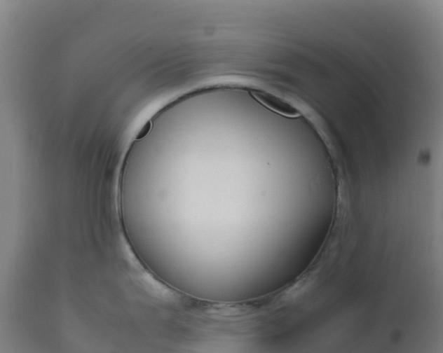 X0000112411199200908281807