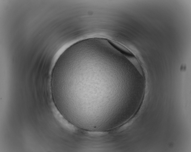 X0000112411200200908281807
