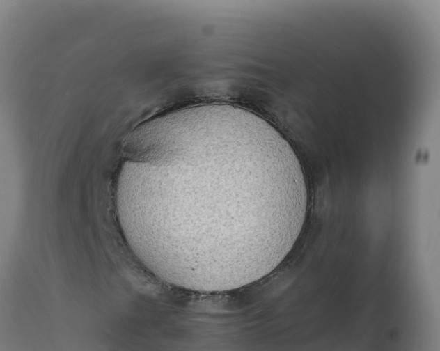 X0000112411201200908281806