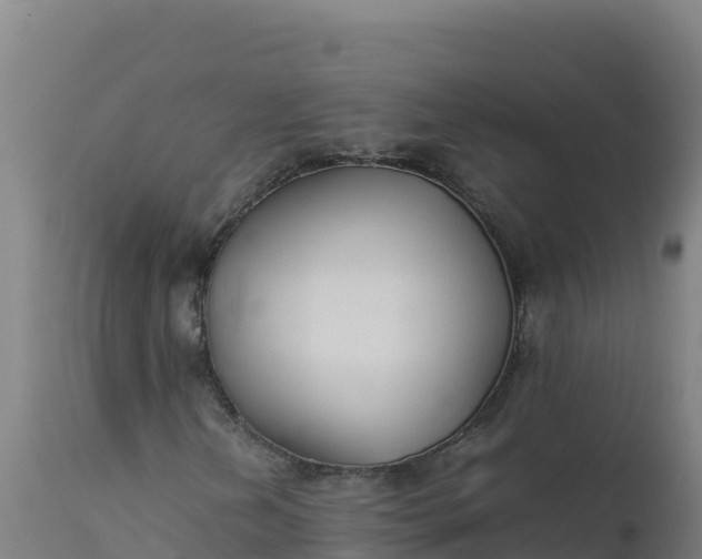 X0000112411202200908281806
