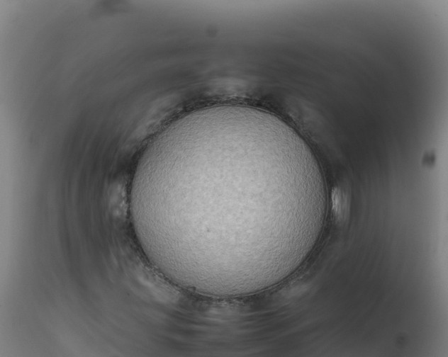 X0000112411203200908281806