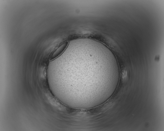 X0000112411204200908281806