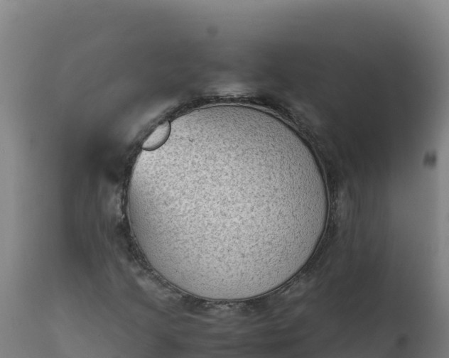 X0000112411205200908281806