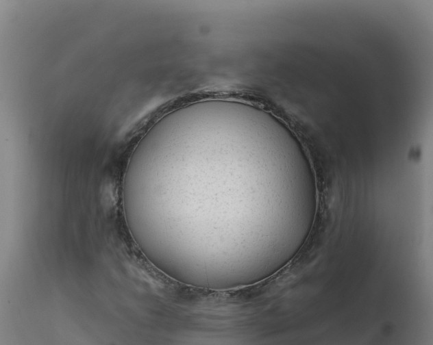 X0000112411206200908281806